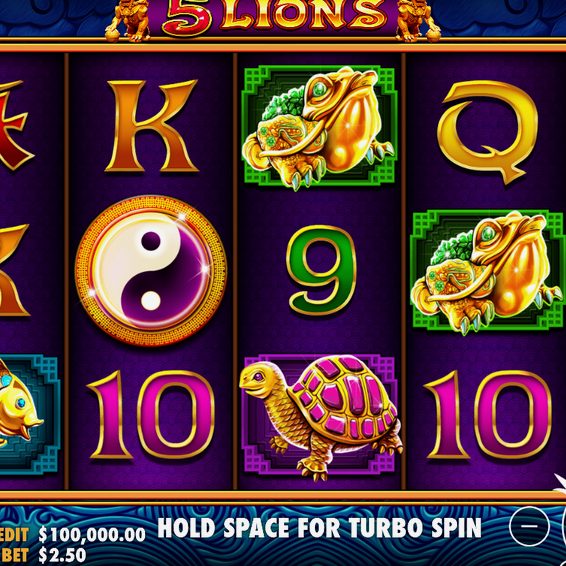 5 Lions