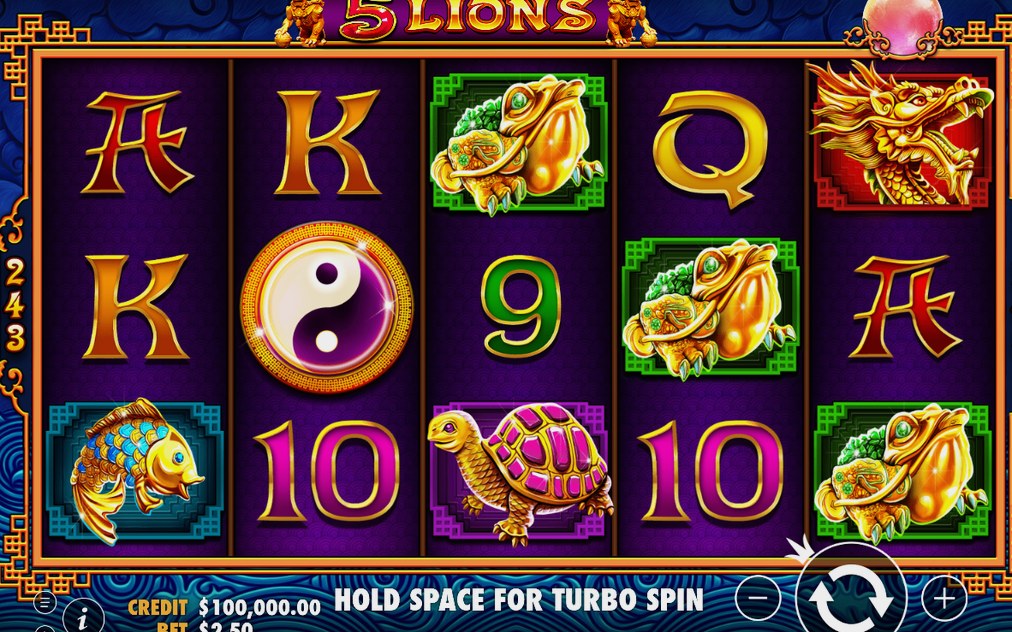 5 Lions